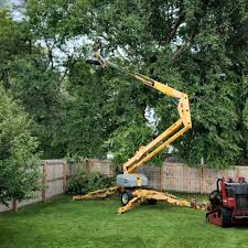 Best Tree Preservation Services  in Raymond, WI