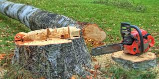 Best Emergency Tree Removal  in Raymond, WI