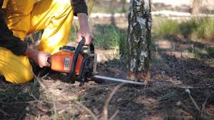 Lawn Pest Prevention in Raymond, WI